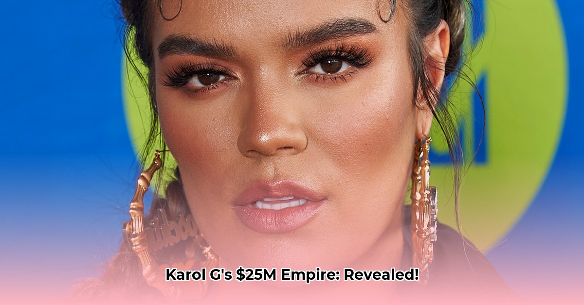 karol-g-net-worth